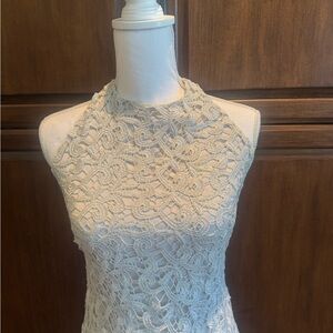 David Meister Silver Lace Dress